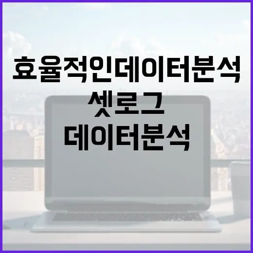 셋로그 활용법: 효율적인 데이터 분석 시작하기 - 요약