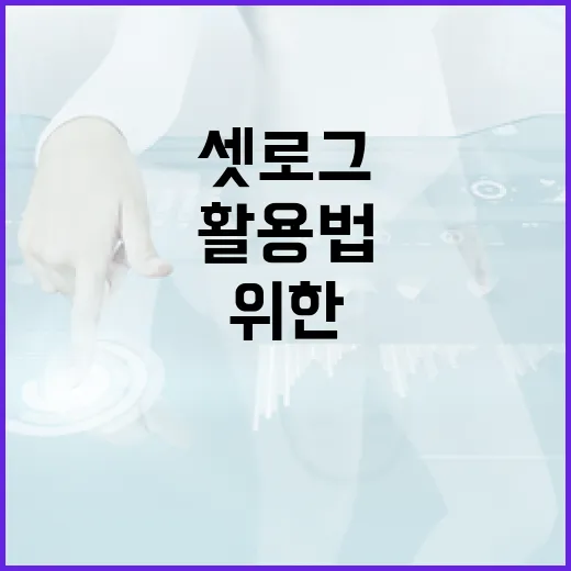 셋로그 활용법: 웹사이트 성장을 위한 필수 도구 - 요약