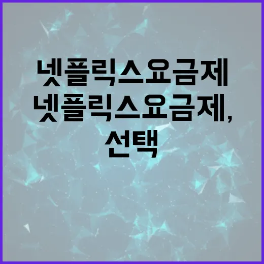 넷플릭스 요금제, 이렇게 선택하세요! - 요약