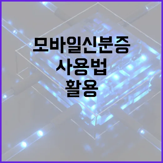 모바일 신분증 사용법: 안전하고 편리하게 활용하기 - 요약