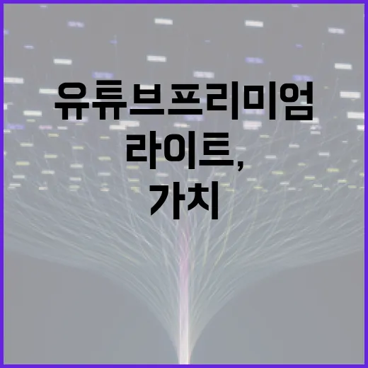 유튜브 프리미엄 라이트, 정말 가치 있는 선택일까? - 요약