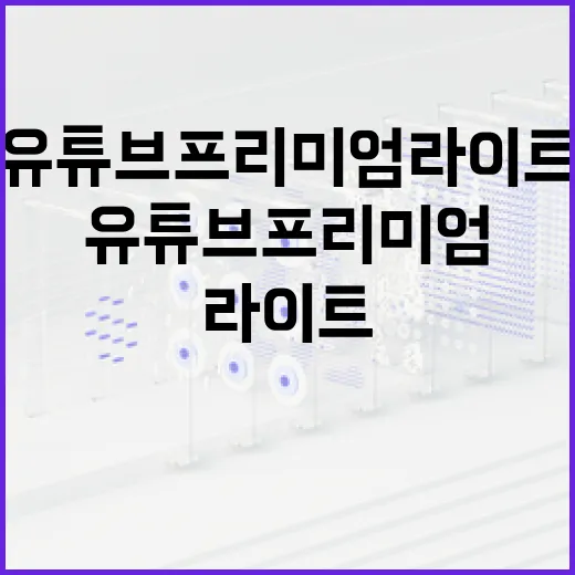 유튜브 프리미엄 라이트, 과연 구독할 만한가? - 요약