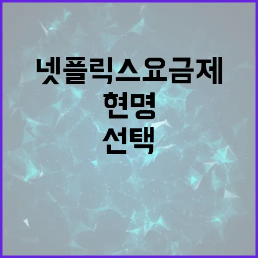 넷플릭스 요금제를 현명하게 선택하는 방법 - 요약