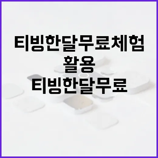 티빙 한달 무료 체험, 이렇게 활용해보세요! - 요약