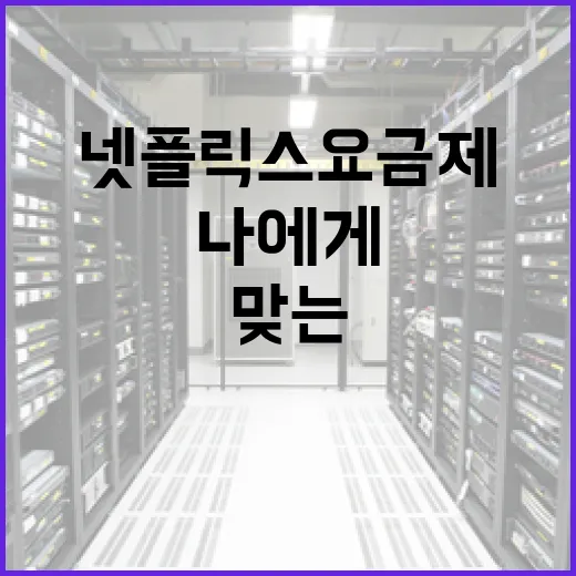 넷플릭스 요금제, 나에게 맞는 선택 방법 - 요약