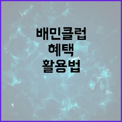 배민클럽 혜택 활용법: 알뜰하게 맛집 즐기기 - 요약