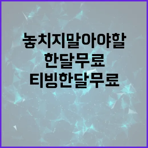 티빙 한달무료, 놓치지 말아야 할 꿀팁 - 요약