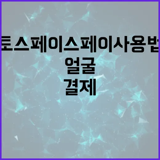 초보자를 위한 토스 페이스페이 사용법: 얼굴로 결제하는 시대 - 요약