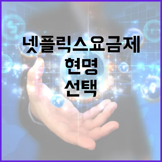 넷플릭스 요금제, 현명하게 선택하는 방법 - 요약