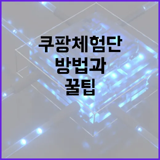 쿠팡 체험단 참여하는 방법과 꿀팁 - 요약