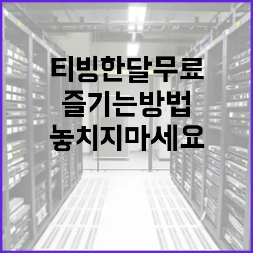 티빙 한달 무료로 즐기는 방법, 놓치지 마세요! - 요약