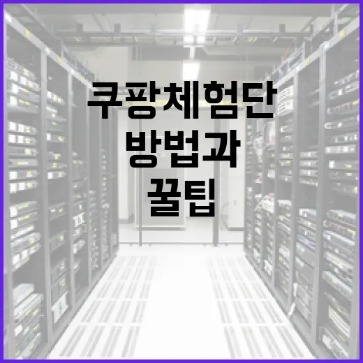 쿠팡 체험단 참여하는 방법과 꿀팁 - 요약