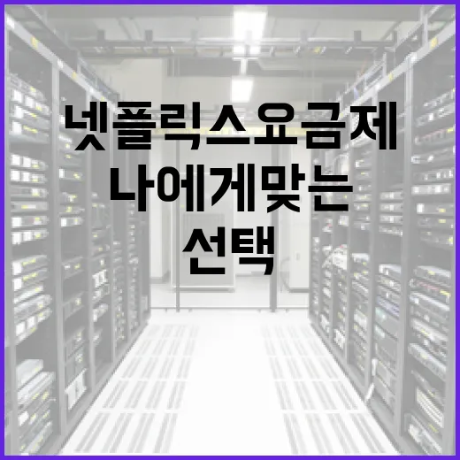 넷플릭스 요금제, 나에게 맞는 선택은? - 요약