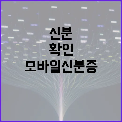 모바일 신분증, 이제 스마트폰으로 신분을 확인하는 방법 - 요약
