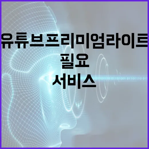 유튜브 프리미엄 라이트, 정말 필요한 서비스일까? - 요약