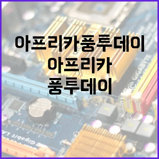 아프리카풍투데이를 즐기는 방법 - 요약