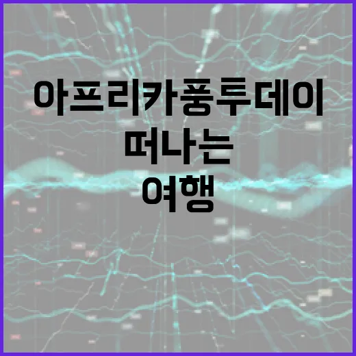 아프리카풍투데이로 떠나는 독특한 여행 경험 만들기 - 요약