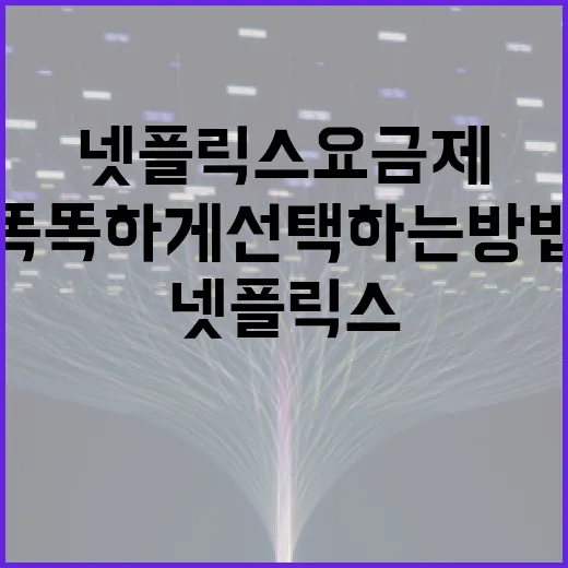 넷플릭스 요금제, 똑똑하게 선택하는 방법 - 요약