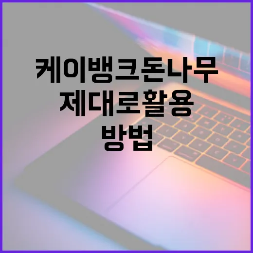 케이뱅크 돈나무, 제대로 활용하는 방법 - 요약
