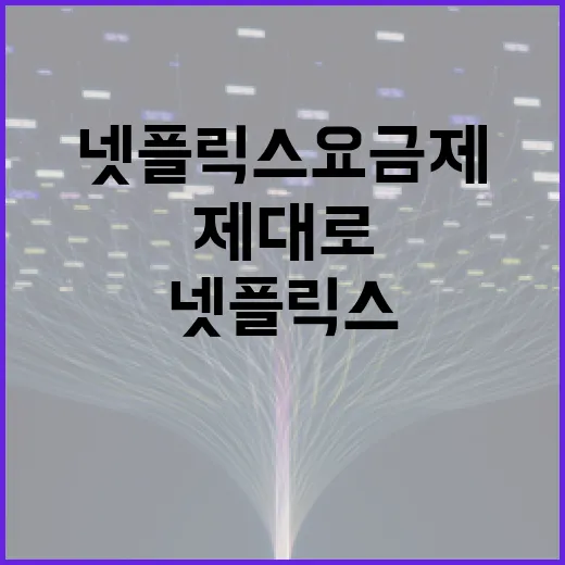 넷플릭스 요금제를 제대로 이해하는 방법 - 요약