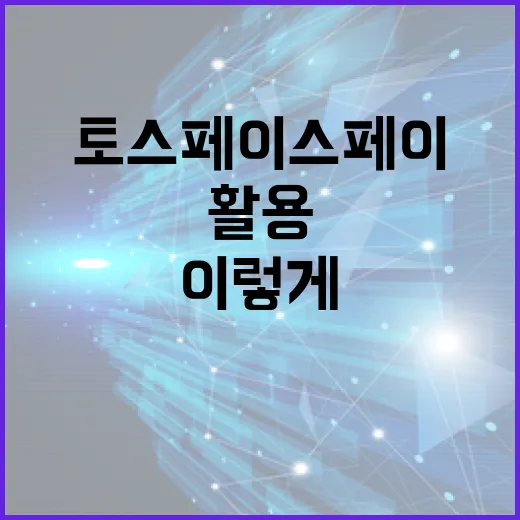 토스 페이스페이, 이렇게 활용해보세요 - 요약