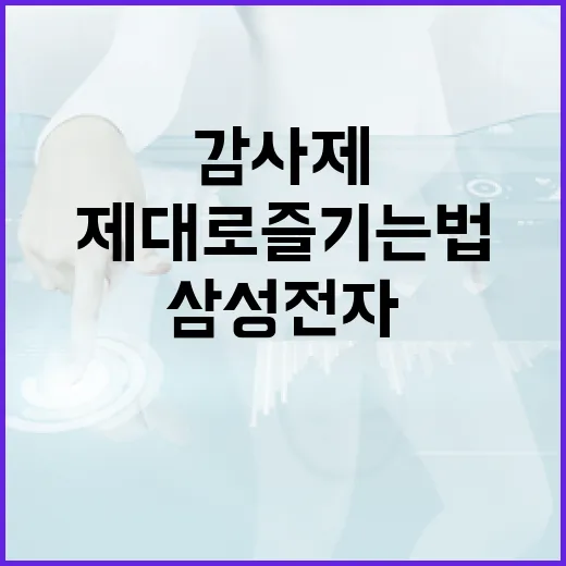 삼성전자 감사제, 제대로 즐기는 법 - 요약