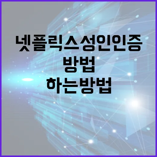 넷플릭스 성인인증, 쉽고 빠르게 하는 방법 - 요약