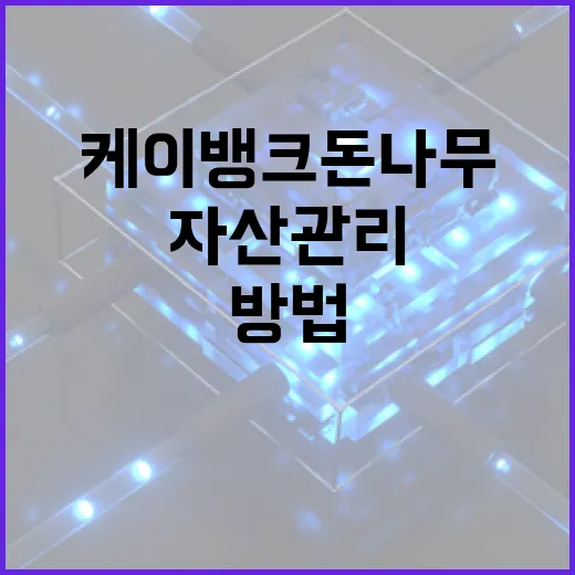 케이뱅크 돈나무로 자산 관리하는 방법 - 요약