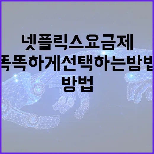 넷플릭스 요금제를 똑똑하게 선택하는 방법 - 요약
