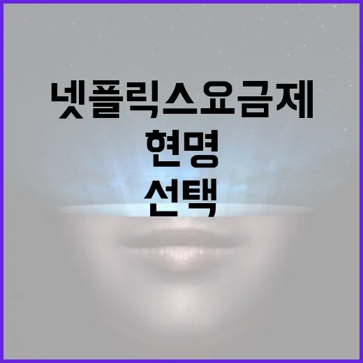 넷플릭스 요금제를 현명하게 선택하는 방법 - 요약