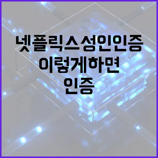 넷플릭스 성인인증, 이렇게 하면 간단해요 - 요약