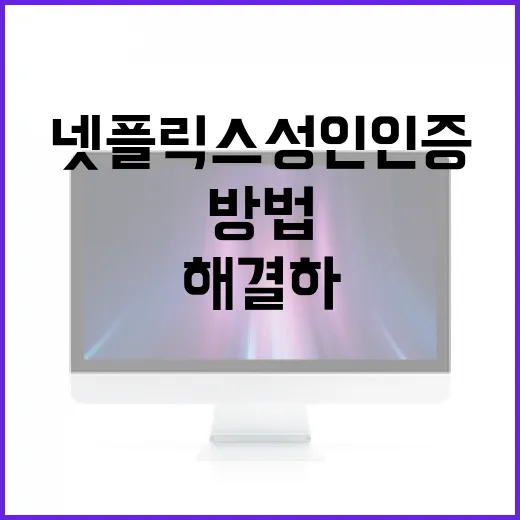 넷플릭스 성인인증 간단히 해결하는 방법 - 요약