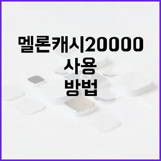 멜론 캐시 20000 효과적으로 사용하는 방법 - 요약
