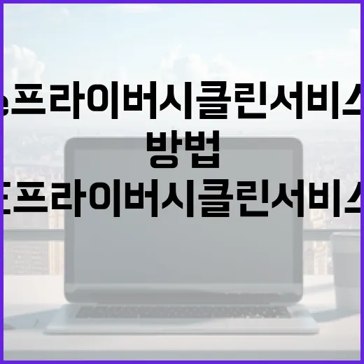 e프라이버시클린서비스를 활용하는 방법 - 요약