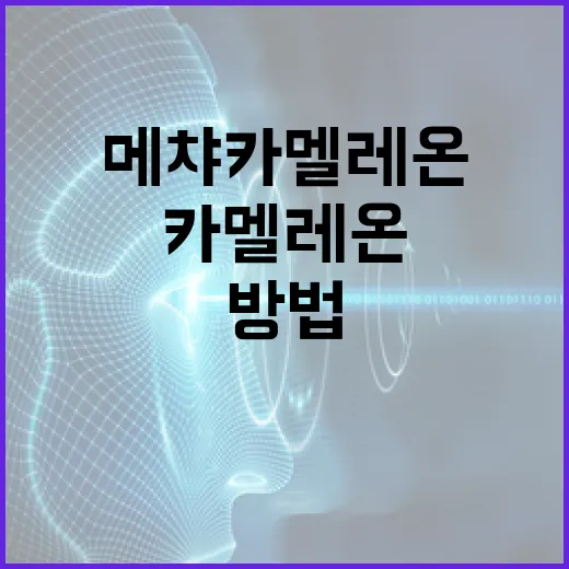 메챠 카멜레온을 활용하는 실용적인 방법 - 요약