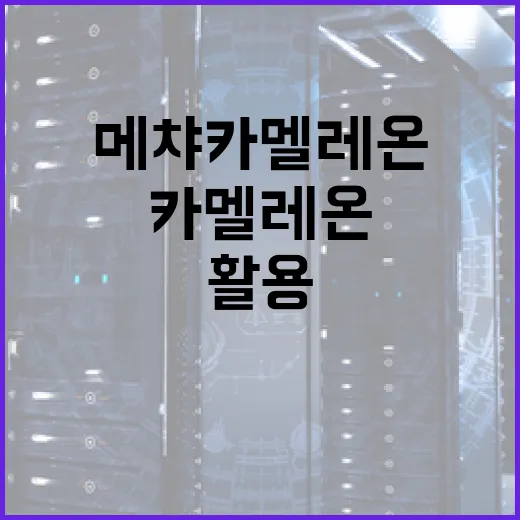 메챠 카멜레온을 이해하고 활용하는 방법 - 요약