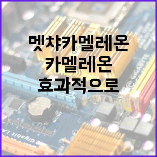 멧챠 카멜레온을 효과적으로 사용하는 방법 - 요약