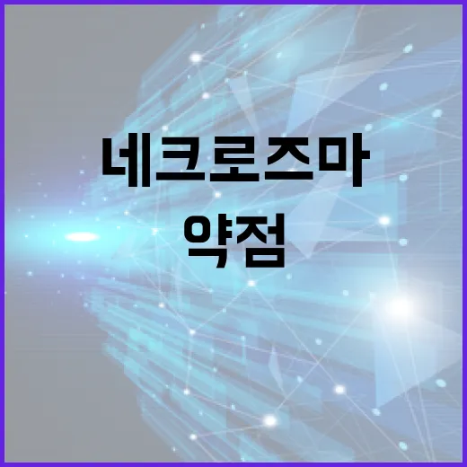 네크로즈마의 약점을 파악하는 방법 - 요약