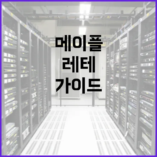 메이플 레테 사용법: 초보자도 쉽게 이해하는 가이드 - 요약