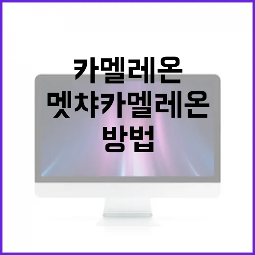 멧챠 카멜레온을 이해하는 방법: 초보자를 위한 가이드 - 요약