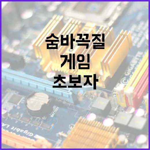 숨바꼭질 게임을 즐기는 방법: 초보자를 위한 팁 - 요약
