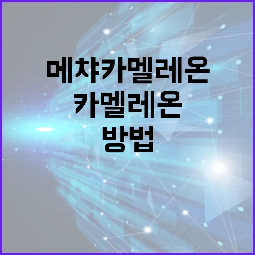 메챠 카멜레온을 활용하는 방법과 팁 - 요약