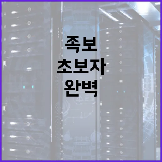 섯다 족보 완벽 이해하기: 초보자를 위한 가이드 - 요약