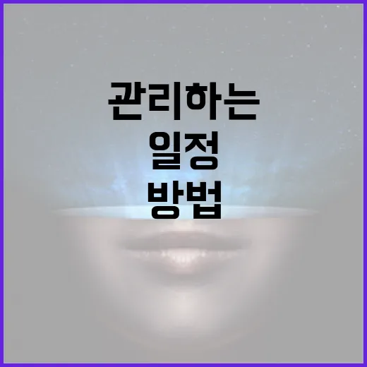 드니차로 당신의 일정을 효율적으로 관리하는 방법 - 요약