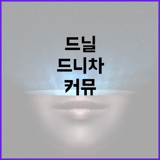 드니차 커뮤를 성공적으로 활용하는 방법 - 요약