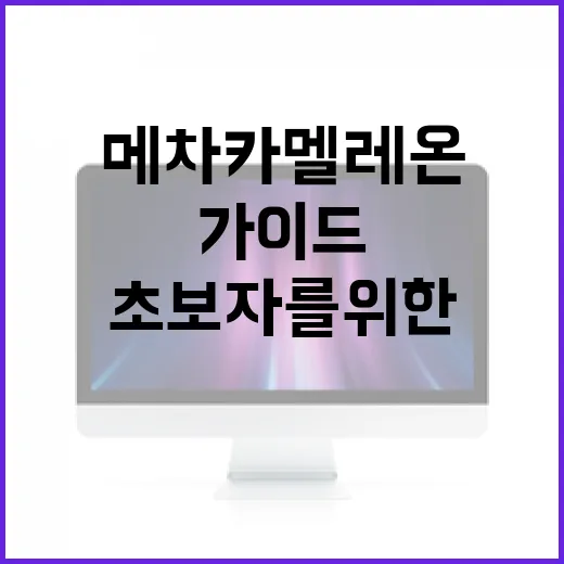 메차 카멜레온의 세계: 초보자를 위한 이해 가이드 - 요약