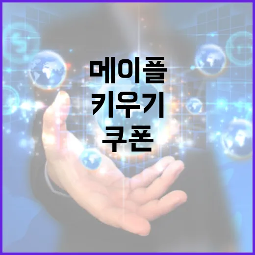 메이플스토리 캐릭터 빠르게 키우기: 쿠폰 활용법 - 요약
