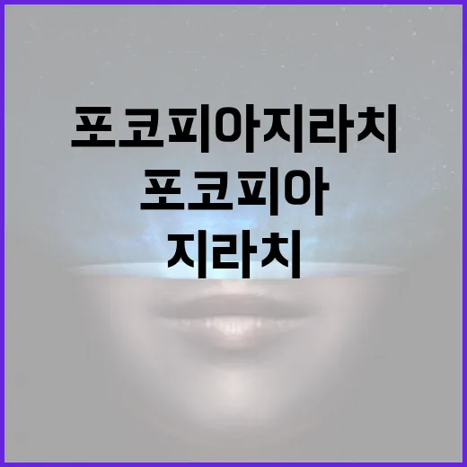 포코피아 지라치 얻으려면 이렇게 확인하세요 - 요약
