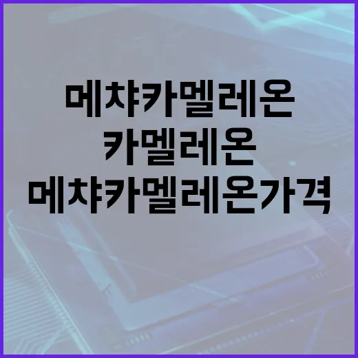 메챠 카멜레온 가격 확인하는 방법, 초보자가 헷갈리지 않으려면 이렇게 - 요약