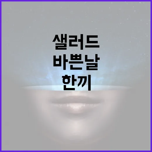 포코피아 칼질샐러드 제대로 먹는 방법, 바쁜 날 한 끼로 활용하려면 이렇게 - 요약